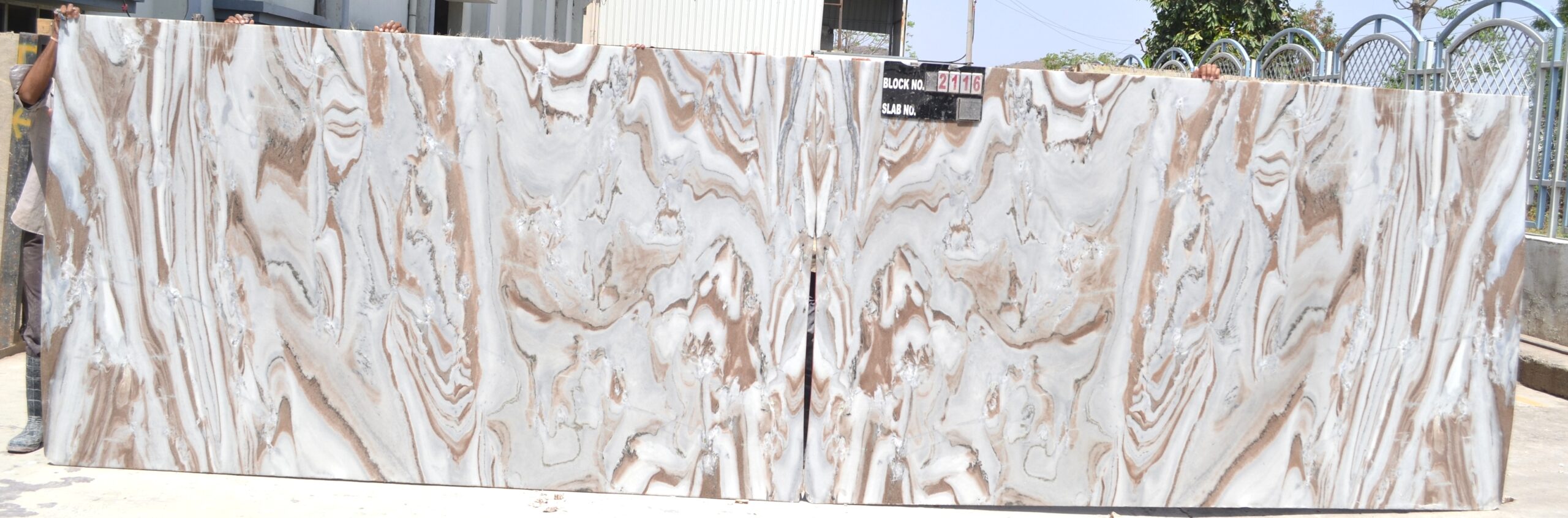 ????????????????????????????????????