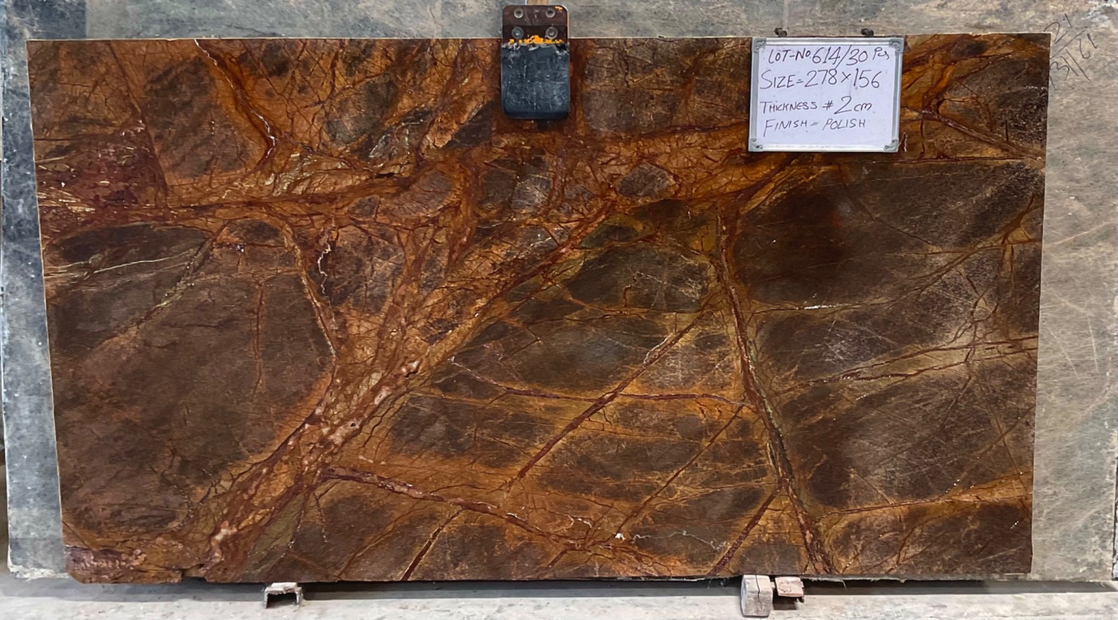 Rain Forest Brown Marble 1